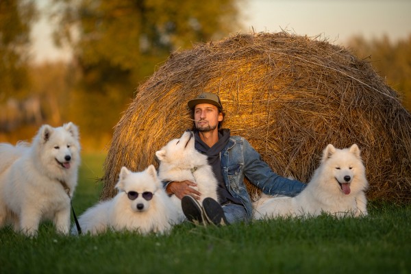 Собакотерапия Dog Friendly Zavidovo