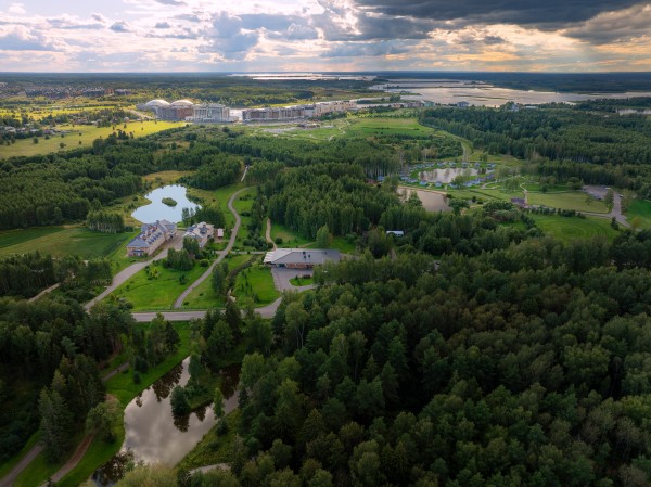 Природный парк «Ямской лес»