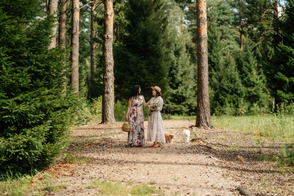 Природный парк «Ямской лес»
